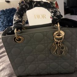 Gray Lady Dior Bag 