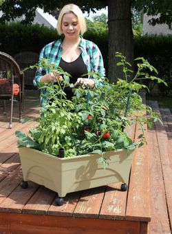 Raised garden beds - NEW in box!