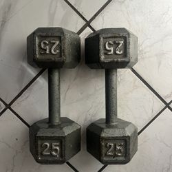 25lb Dumbbells 