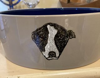 Dog And Cat Feeding Bowls- Hand Painted & Personalized