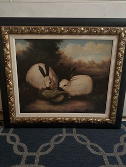 Bunny picture