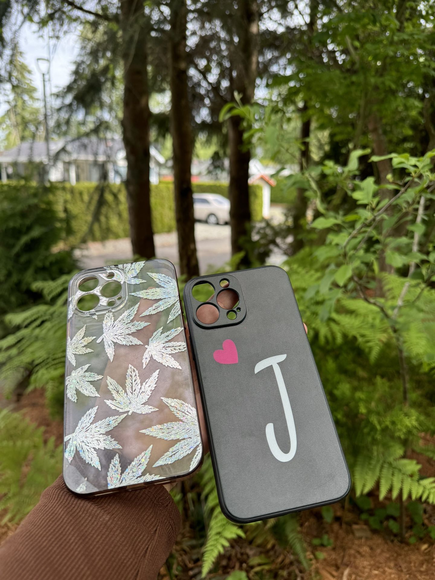 iPhone 13 Pro Max Cases