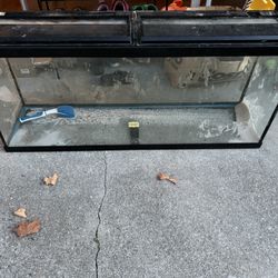 55 Gallon Fish Tank Aquarium