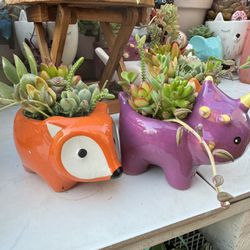 Animal Pots With Succulents 