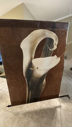 Art Decor - Scroll