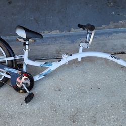 Weeride Copilot Folding Bike Trailer Thing