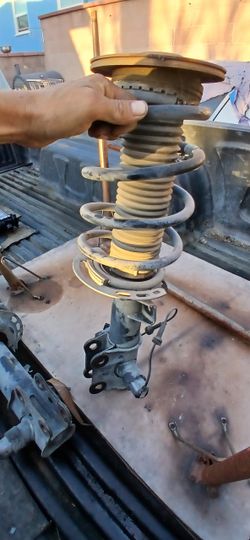 Front Struts