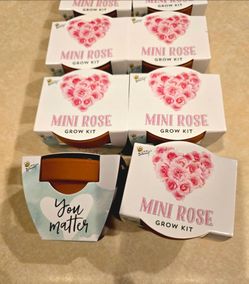 10 mini rose grow kit