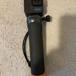 Go Pro 11