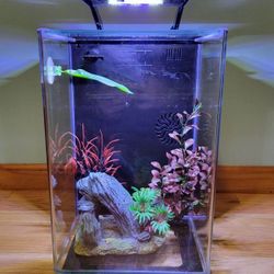 Aquarium Tank 5 Gallon
