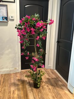Pink Tree 30.00