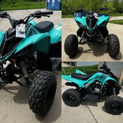 Yamaha RAPTOR EFI 110 