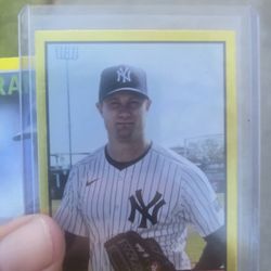 Gerrit Cole Fossil Factor