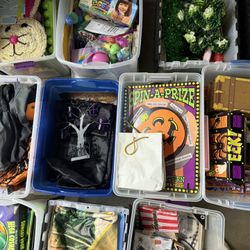 Homeschool / TEACHER/ Mom’s Gold Mine!! Educational Themed Bins 
