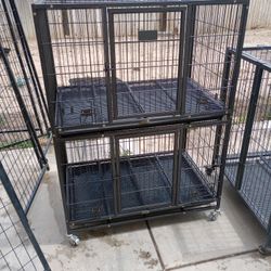 Kennel Cages 