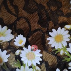 Vintage Style Wall Decor 