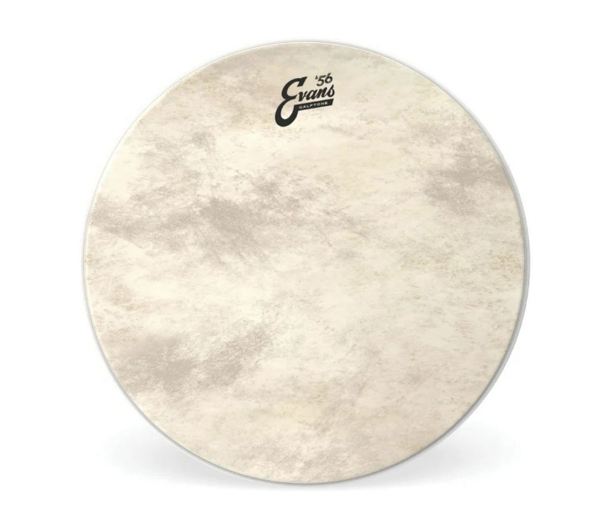 EVANS Calftone Bass Drum Head 26 in.