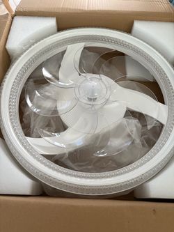 Ceiling fan with lights