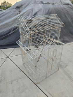 bird cage big