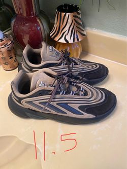 Size 11.5