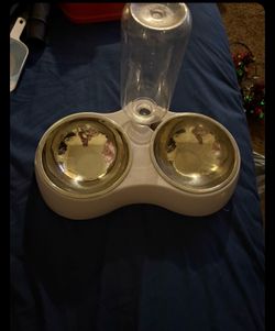 Small Double Dog Bowl
