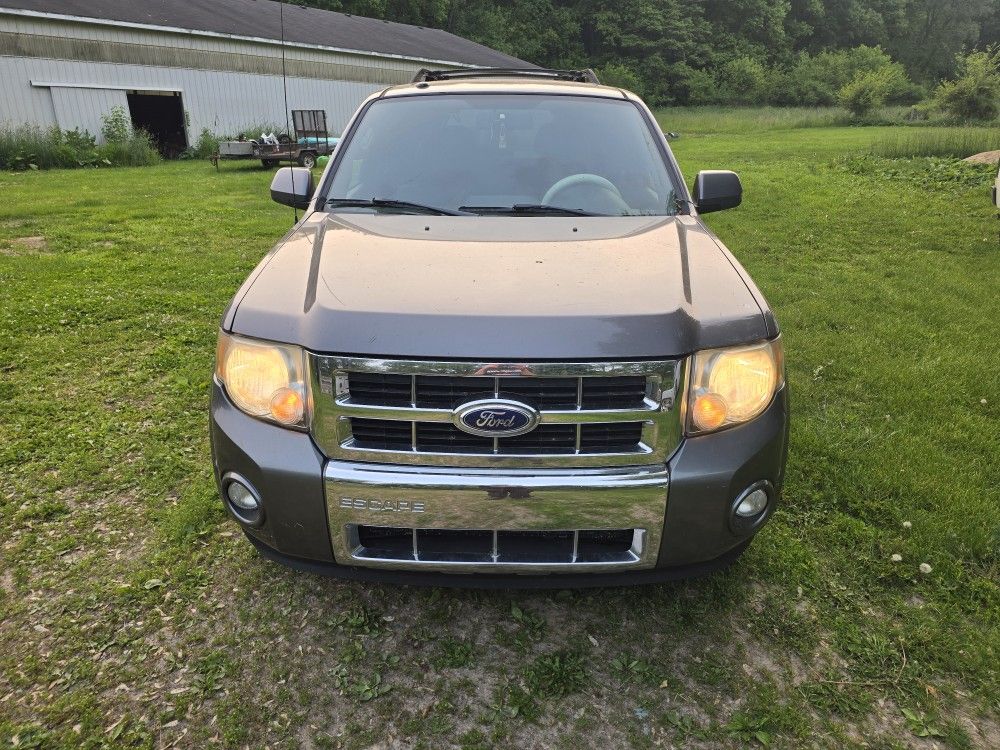 2010 Ford Escape