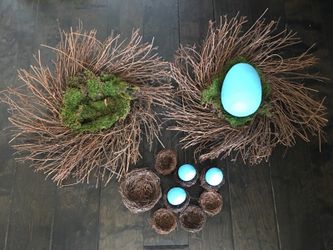 Nest and eggs
