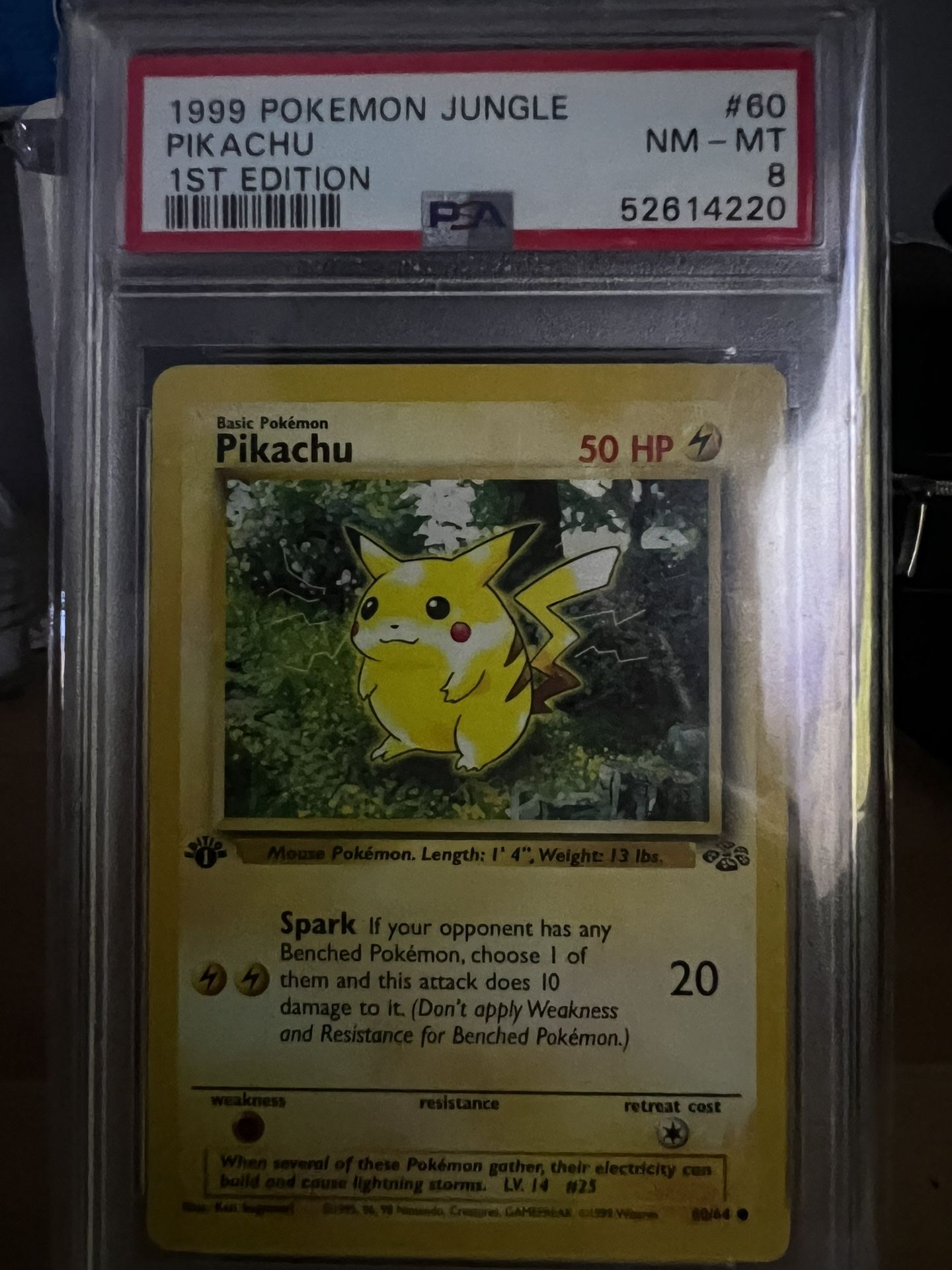pikachu card first edition PSA 10 1st Ed Ivy Sold at Auction - Market proof acrylic case and featuring a striking image of the captivating character Pikachu Pokmon TCG 1st Edition