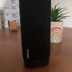 Sony Speaker