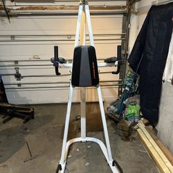 Fitness Gear Power Tower for Sale in Schenectady NY OfferUp