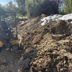 Free free clean dirt Free deliverty 