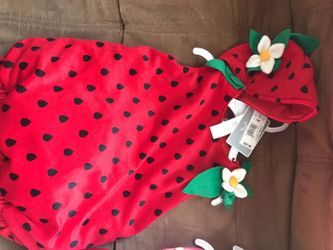 Infant Adorable Strawberry Halloween Costume. Sizes. 12M, 18M, 24M. Brand New