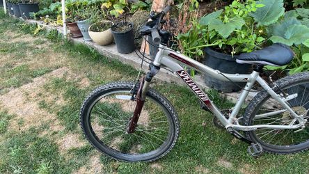 Specialized Mountain Bike