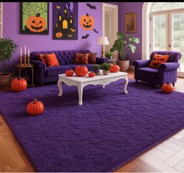 Luxurious Fluffy Shag Rug Ultra Soft,Plush,Fuzzy, Durable for Modern Home 6x9 ftNew
