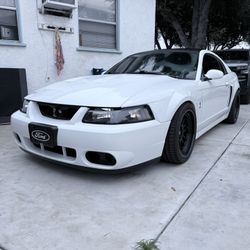 2004 Ford SVT Cobra