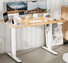 Electric Standing Desk with Wood Top