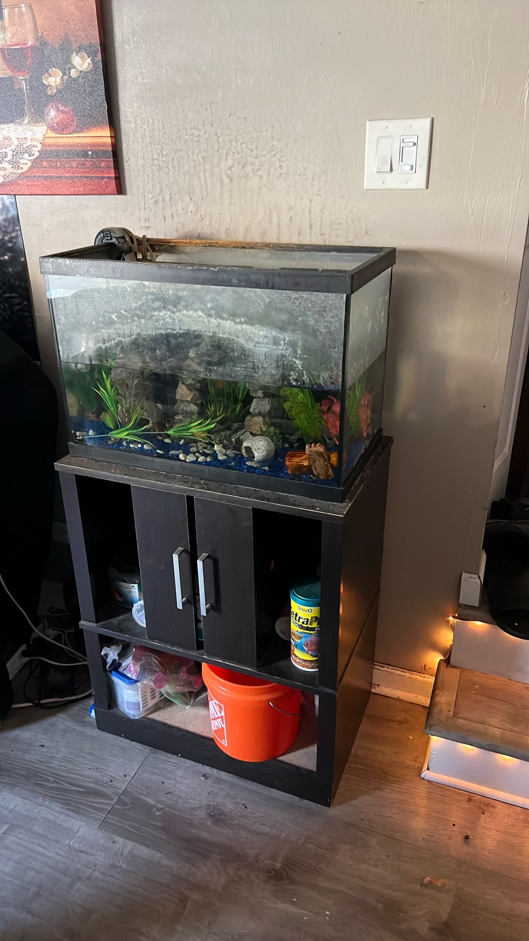 Used 20gal Aquarium Set Up