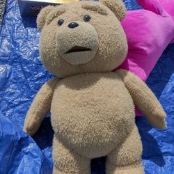 Ted Plush Talking Bear Collectible 