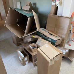 FREE Cardboard LOADS OF FREE Cardboard