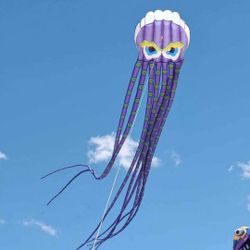 26 Ft Octopus Kite Is $30