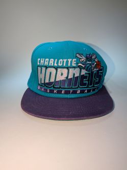 Charlotte Hornets New Era Hardwood Classics Snapback Hat Teal Purple Green Brim