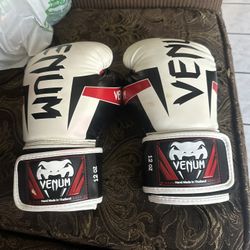 Boxing Gloves 