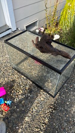 10 Gallon fish tank