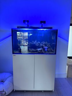 Red Sea Reef Aquarium with Cabinet Stand