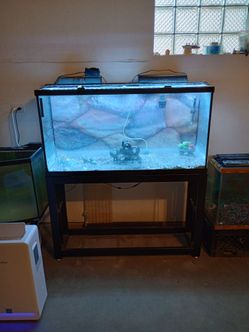 65 gallon tank & metal stand