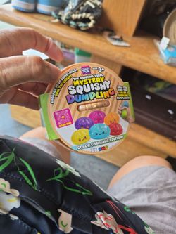 The original viral mystery squishy dumpling new