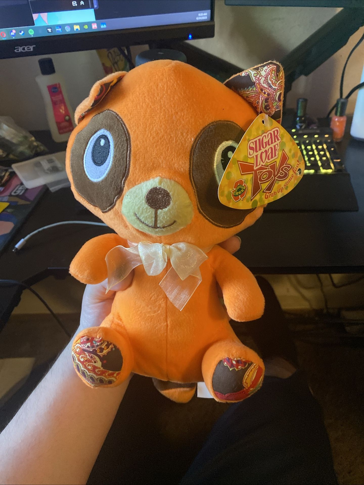 Orange Raccoon