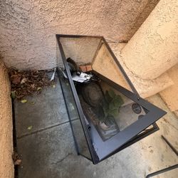 Fish Tank / Animal Tank 