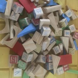 Kids Wooden Blocks 100 Piece 