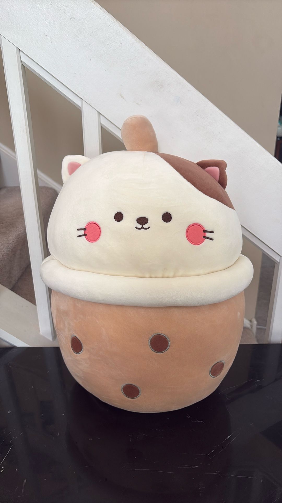 Stuffed Animal(Bona Cat)